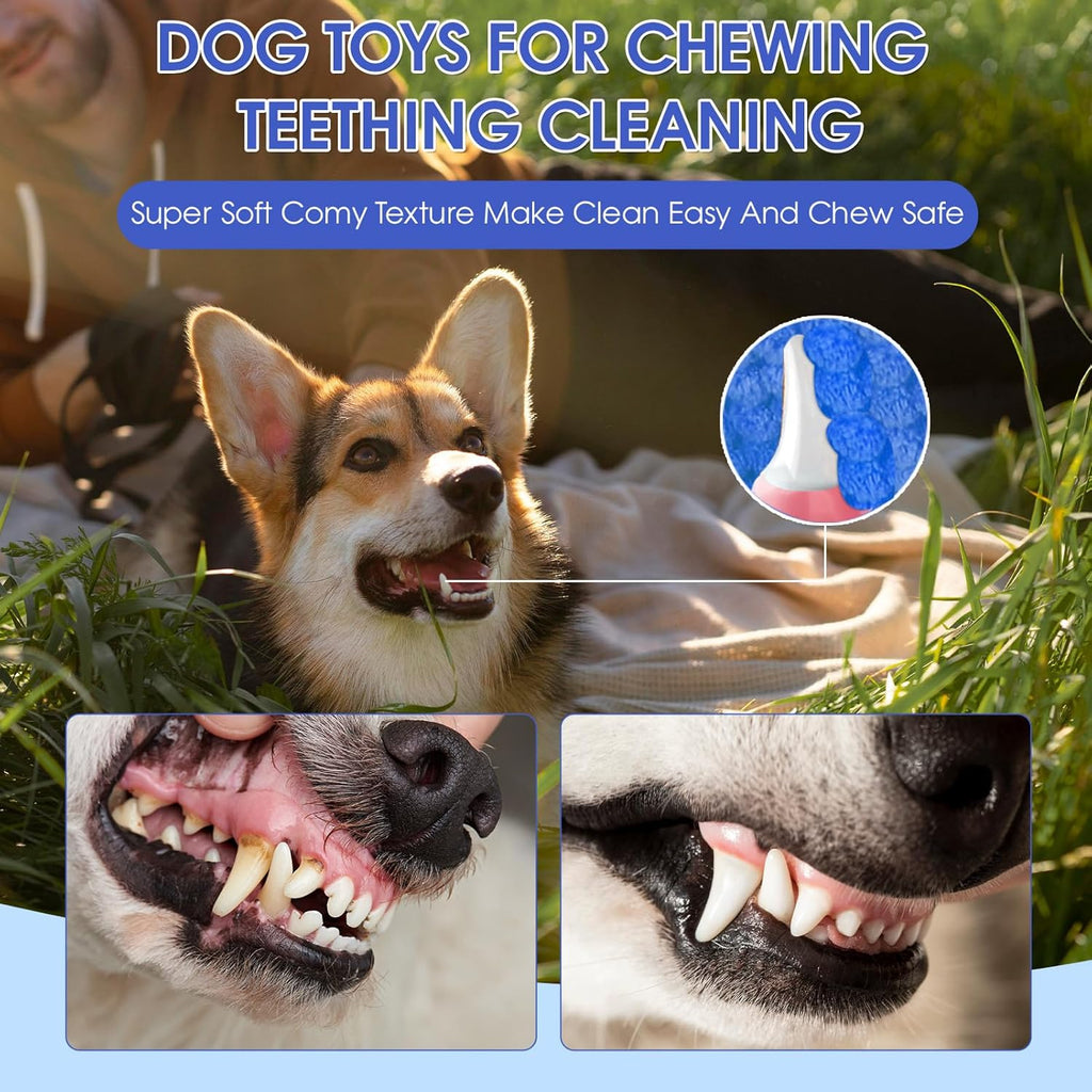 Interactive Fish Shape Dog Chew Toy Set, Durable Plush Rope Tug Toys for Small & Medium Dogs, Squeaky Training Pet Toy