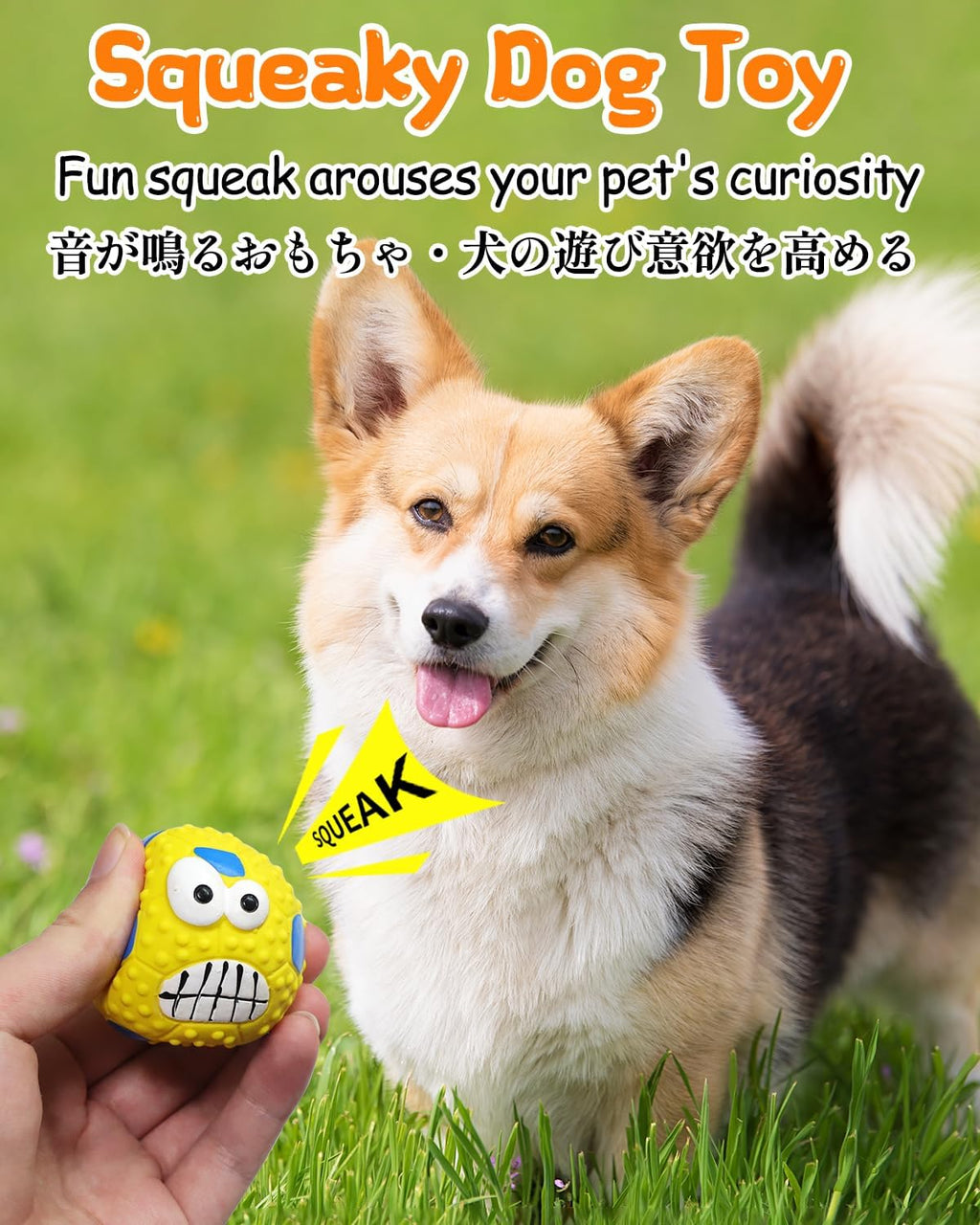 Squeaky Rubber Dog Balls Set, Durable Chew Toys for Small & Medium Dogs, Interactive Pet Fetch Toy with Textured Surface