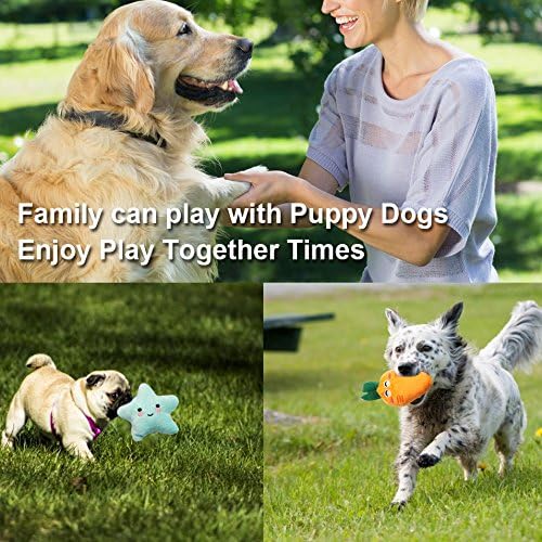 Interactive Plush Dog Toy Set, Squeaky Pet Chew Toys for Small & Medium Dogs, Multi-Shape Puppy Play Pack